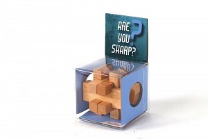 Recenttoys Hlavolam - Are you Sharp