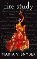Fire Study