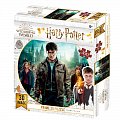 Harry Potter 3D puzzle - Harry, Hermiona a Ron 300 dílků