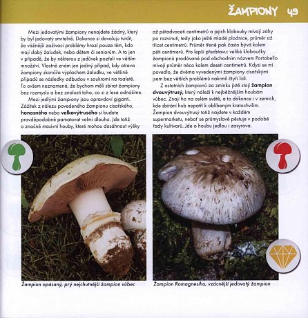 Náhled Na houby s Jardou - Nepostradatelný průvodce houbaře a kulináře