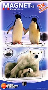 MF053 - Tučňáci a lední medvědi
