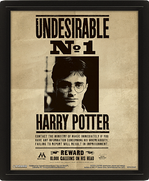 Harry Potter: Obraz 3D - Sirius Black