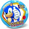 Míč Ježek Sonic nafouknutý 23cm v síťce