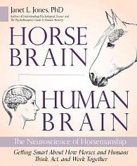 Horse Brain, Human Brain : The Neuroscience of Horsemanship