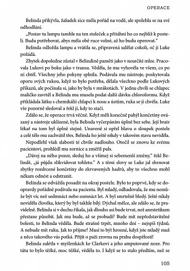 Náhled Sen lásky