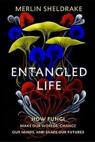 Entangled Life : How Fungi Make Our Worlds, Change Our Minds and Shape Our Futures