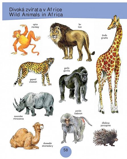 Náhled 1000 prvních anglických slov - Obrázkový slovník pro děti od 5 let