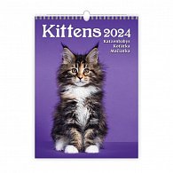 Kalendář nástěnný 2024 - Kittens/Katzenbabys/Koťátka/Mačičky