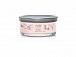 YANKEE CANDLE Pink Sands svíčka 340g / 5 knotů (Signature tumbler střední )