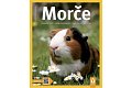 Morče - Správná péče, rady odborníka...