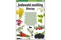 Jedovaté rostliny Dřeviny - Naučná karta