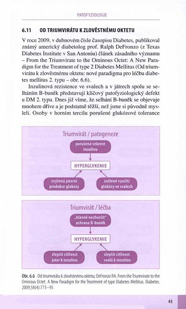 Náhled Diabetes mellitus v kostce