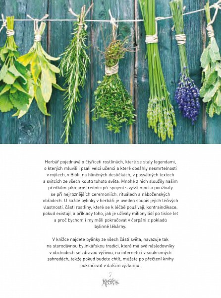 Náhled Posvátné bylinky - 40 léčivých rostlin pro zlepšení nálady a zdraví