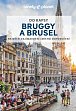 Bruggy a Brusel do kapsy - Lonely Planet