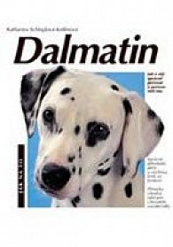 Dalmatin - jak na to