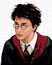 Malování podle čísel 40 x 50 cm Harry Potter - Harry portrét