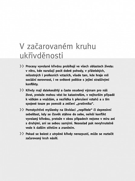 Náhled Neber si to osobně. Jak se vyrovnat s křivdami – první pomoc pro duši