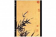 Zápisník - Bamboo, ultra 180x230