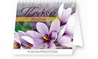 Kalendář stolní 2016 - Krása květin Praktik,  16,5 x 13 cm