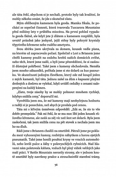Náhled Skleněný zámek