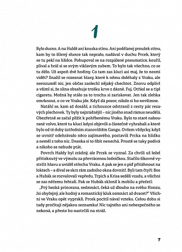 Náhled Tajemství Oblázkové hory