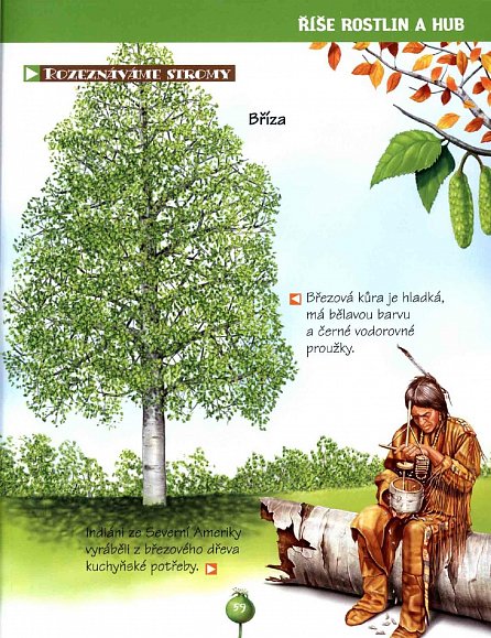 Náhled Příroda kolem nás - Dětská ilustrovaná encyklopedie
