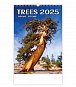 Kalendář nástěnný 2025 - Trees / Bäume / Stromy