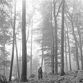 Folklore (CD)
