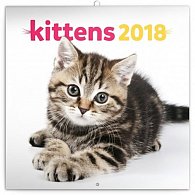 Kalendář poznámkový 2018 - Koťata, 30 x 30 cm