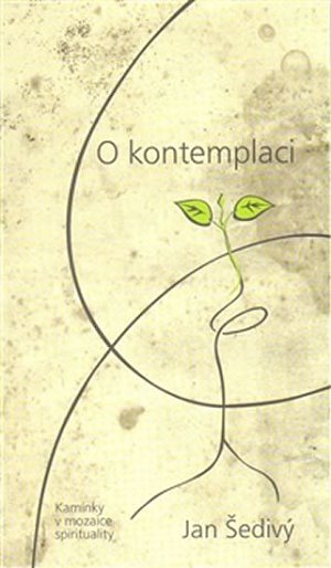 O kontemplaci - Kamínky v mozaice spirituality