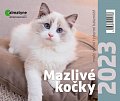 Kalendář 2023 Mazlivé kočky, stolní, týdenní, 148 x 125 mm
