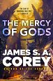 The Mercy of Gods: Book One of the Captive´s War