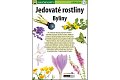 Jedovaté rostliny Byliny - Naučná karta