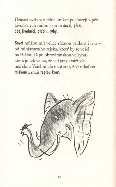 Náhled Darebák David a zvířata