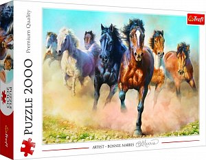 Trefl Puzzle Cválající koně / 2000 dílků