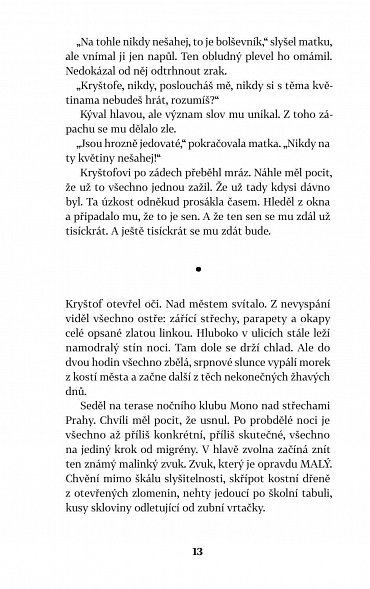 Náhled Chyba, 2.  vydání