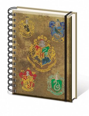 Blok A5 kroužkový - Harry Potter, linkovaný