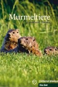 Murmeltiere