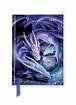 Anne Stokes: Welcome Hatchling 2025 Luxury Pocket Diary Planner - Week to View