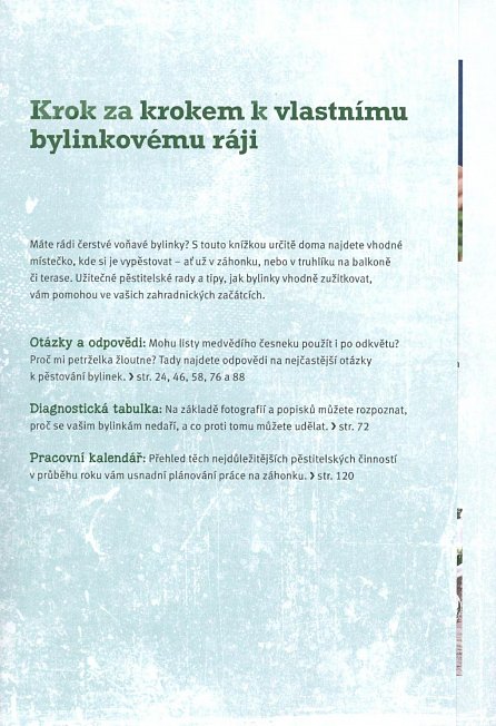 Náhled Bylinky - Krok za krokem k vlastnímu bylinkovému ráji, 3.  vydání