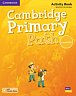 Cambridge Primary Path Foundation Activity Book with Practice Extra
