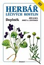 Herbář léčivých rostlin 6 - Doplněk