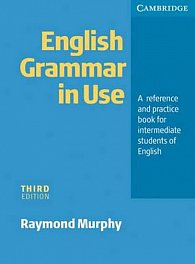 English Grammar in Use 3rd edition: Edition without answers:A Reference and Practice Book for Intermediate Students of English