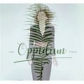 Lenka Filipová: Oppidum - CD