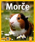 Morče - Správná péče, rady odborníka...