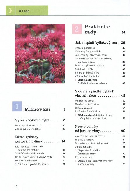 Náhled Bylinky - Krok za krokem k vlastnímu bylinkovému ráji, 3.  vydání