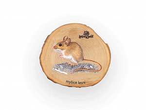 Magnet letokruh - Myšice