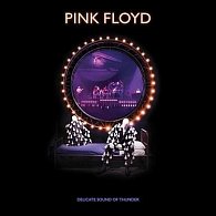 Pink Floyd: Delicate Sound Of Thunder - 2 CD