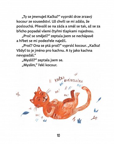 Náhled Kočka Kačka