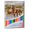 Blok barevných papírů A4 Wild horses